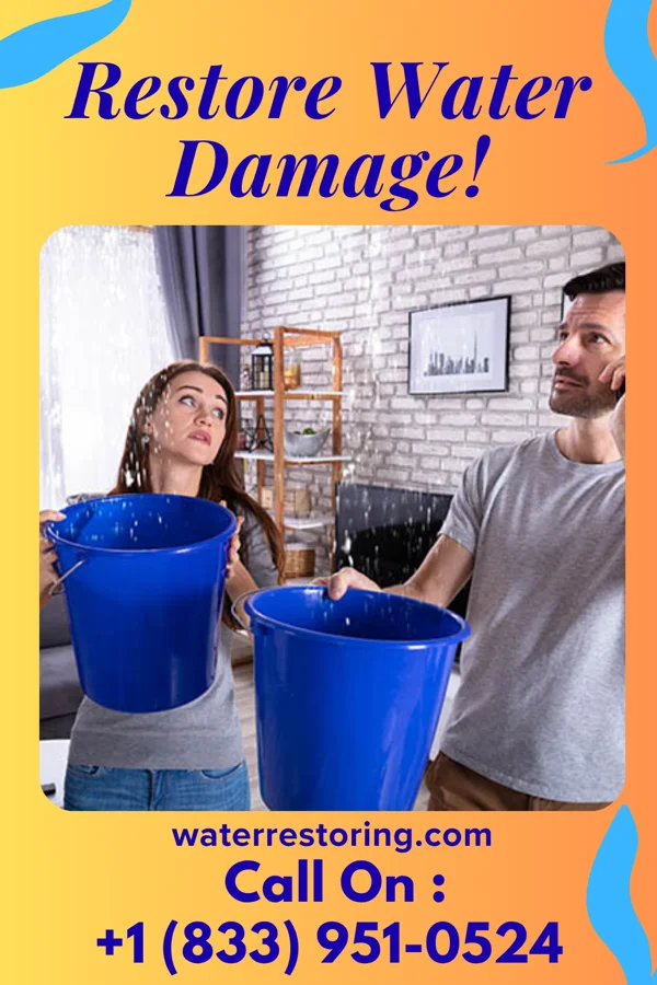water restoration Modern Sewage Cleanup Professionals Rushville