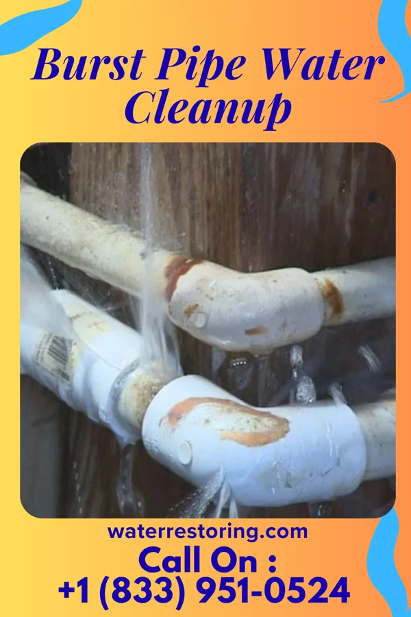 Burst Pipe Water Cleanup in Rushville, IN
