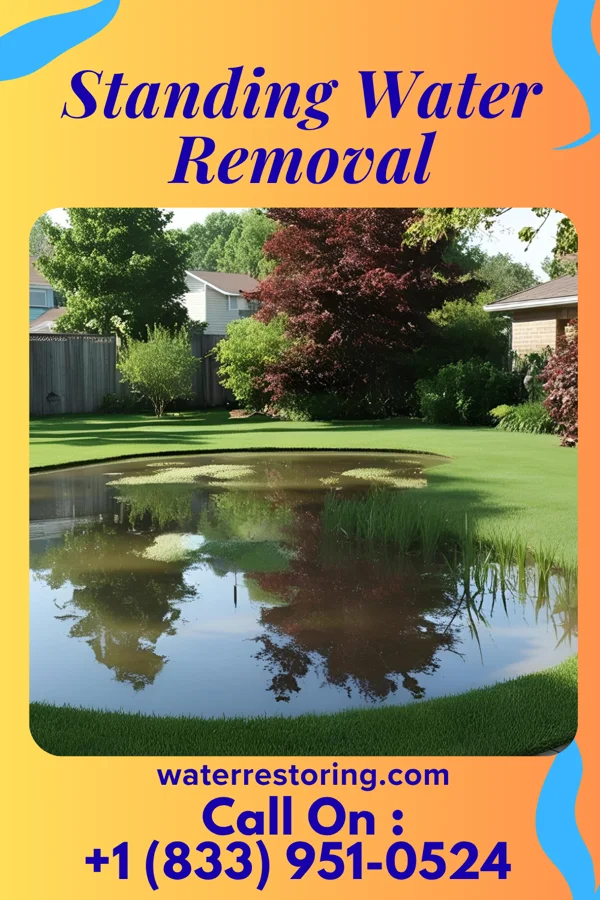 Standing Water Removal in Rushville, IN